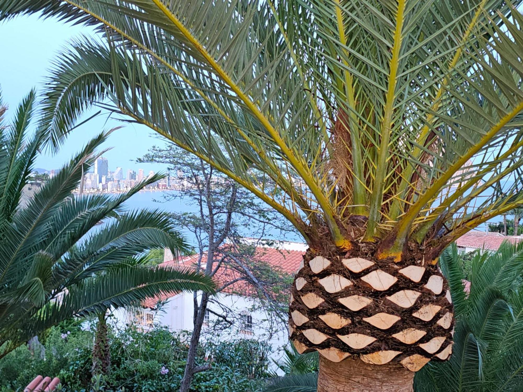 Casa Veintiuno En Calp Lägenhet Exteriör bild